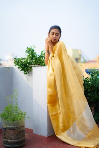Banarasi Tissue Soft Silk Saree - Image 3